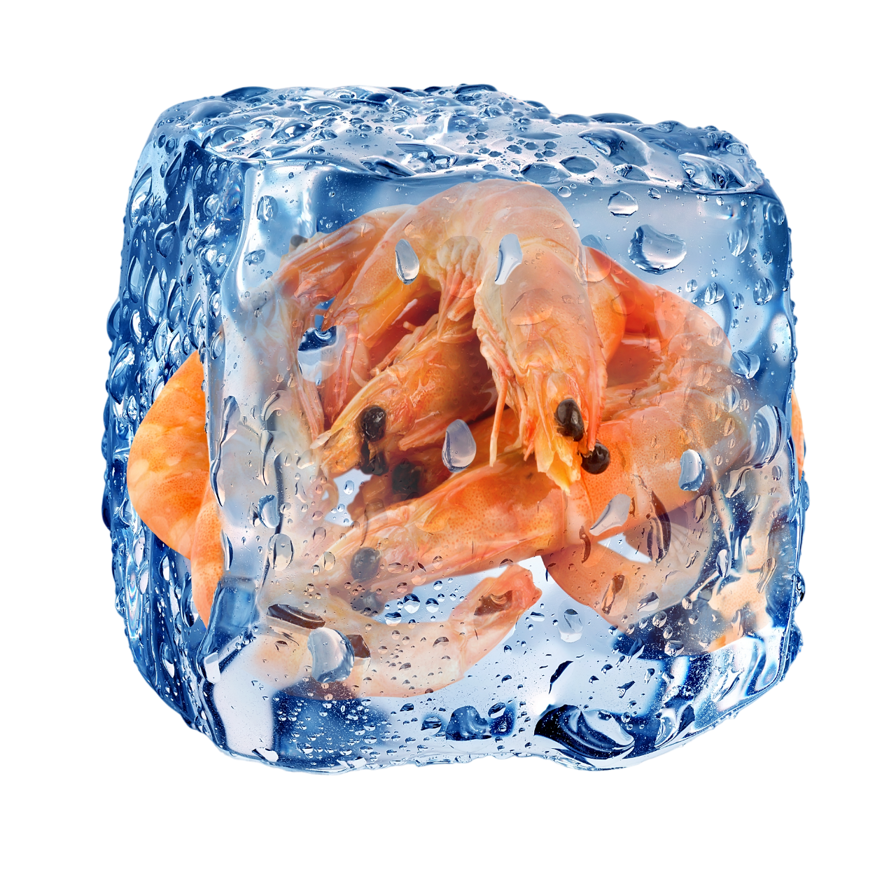 Crostacei Pesce Congelati Surgelati