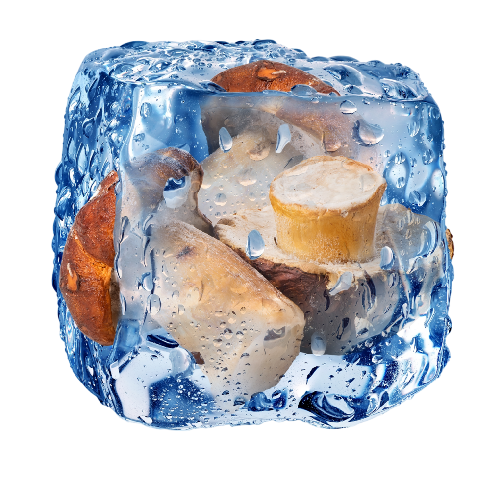 Funghi Congelati Surgelati